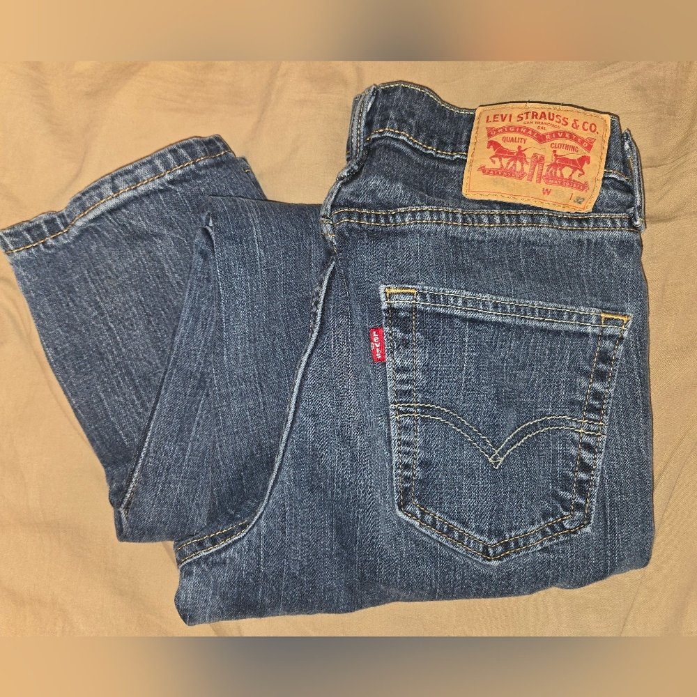 Levis Jeans Mens 541 Athletic Taper Fit 30x32 Dark Wash